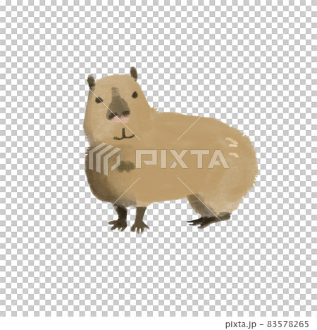 Capybara handwriting style 83578265