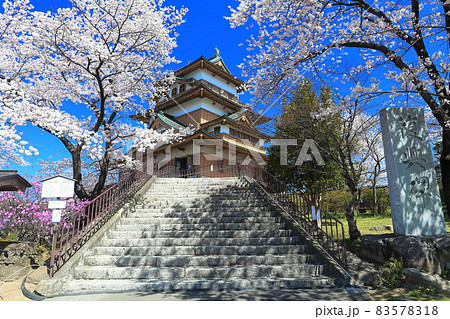 【長野県】晴天下の高島城と満開の桜 83578318