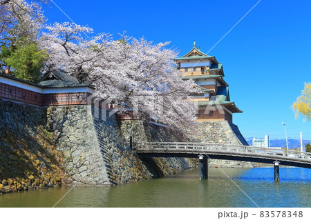 【長野県】晴天下の高島城と満開の桜 【長野県】晴天下の高島城と満開の桜 83578348