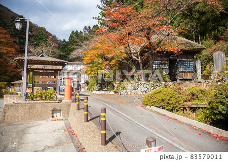四万温泉　日向見薬師堂の紅葉 83579011