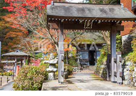 四万温泉 日向見薬師堂の紅葉 四万温泉 日向見薬師堂の紅葉 83579019