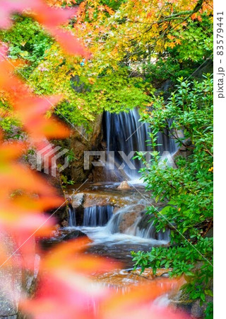 香川用水記念公園の紅葉③（滝）【香川県三豊市財田町】 83579441