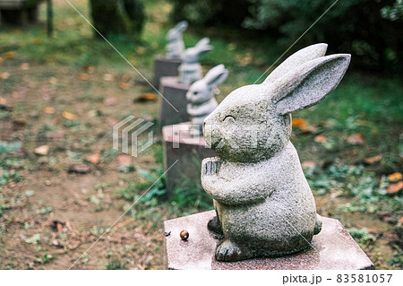 一列に並んだ出雲大社の因幡の白兎 83581057