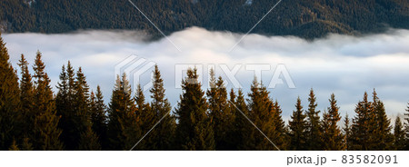 Distant dark mountain hills covered with dense pine forest surrounded with white foggy clouds at sunrise. Distant dark mountain hills covered with dense pine forest surrounded with white foggy clouds at sunrise. 83582091