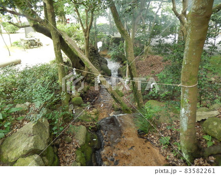 敦賀市常宮神社散策 83582261