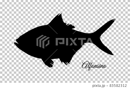 Silhouette of alfonsino fish. 83582312