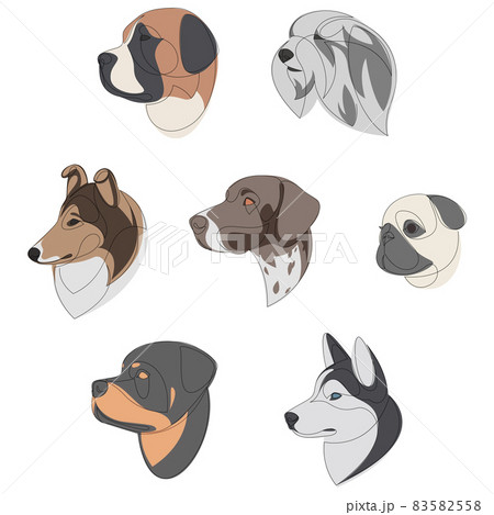 Breeds of dogs drawn in minimal style set. One line dog portrait set. St. Bernard, Old English Sheepdog, Rough Collie, German Shorthaired Pointer, Pug, Rottweiler, Siberian Husky. Vector illustration. Breeds of dogs drawn in minimal style set. One line dog portrait set. St. Bernard, Old English Sheepdog, Rough Collie, German Shorthaired Pointer, Pug, Rottweiler, Siberian Husky. Vector illustration. 83582558