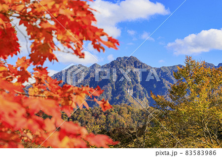 紅葉真っ盛りの奥裾花自然園 紅葉真っ盛りの奥裾花自然園 83583986