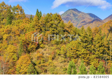 紅葉真っ盛りの奥裾花自然園 83584005