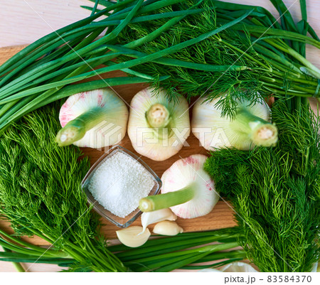 A few heads and cloves of young fresh garlic lie on a cutting board, surrounded by dill and green onions, and next is a salt shaker. Top view 83584370