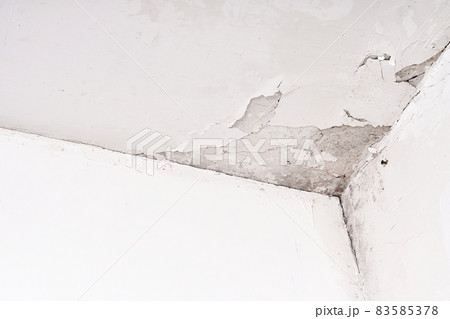 Fungus and mold on the wall in the damp corner of the house. Loose plaster, problems with poorly built housing and a humid climate Fungus and mold on the wall in the damp corner of the house. Loose plaster, problems with poorly built housing and a humid climate 83585378