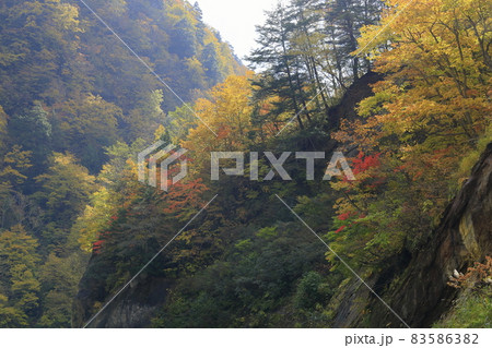 奥裾花渓谷の紅葉 奥裾花渓谷の紅葉 83586382