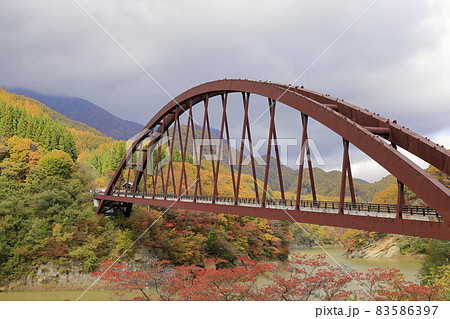 奥裾花渓谷の紅葉 奥裾花渓谷の紅葉 83586397
