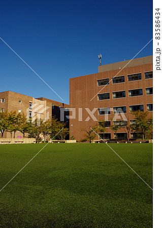 キャンパス　学生生活　大学　芝生広場　校舎　学びの場 83586434