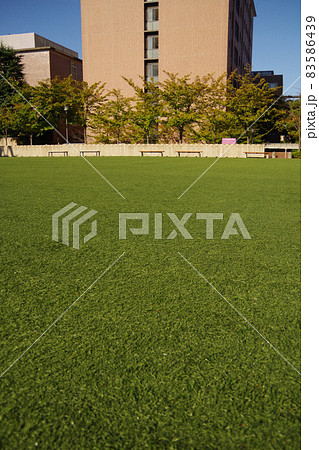 キャンパス　学生生活　大学　芝生広場　校舎　学びの場 83586439