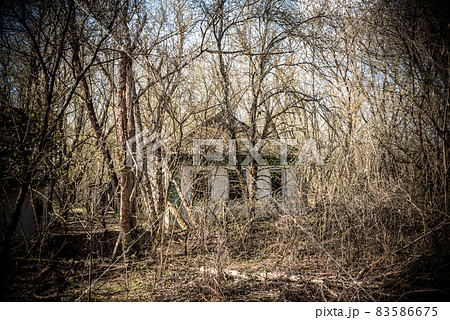 abandoned house in destroyed village of Kopachi Chernobyl zone, Ukraine abandoned house in destroyed village of Kopachi Chernobyl zone, Ukraine 83586675