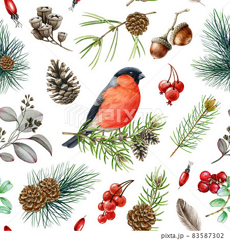Bullfinch bird winter seamless pattern. Watercolor illustration. Hand drawn bullfinch bird, fir tree branch, cone, red berries, pine nature winter element. Forest little songbird. White background 83587302