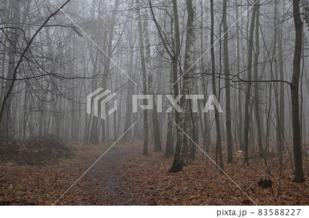 Autumn landscape with fog Autumn landscape with fog 83588227