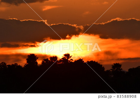 サンセット 83588908