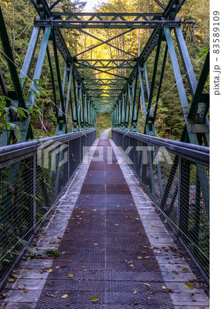Bridge over a river creek on a hiking trail near Seymour Lake. Bridge over a river creek on a hiking trail near Seymour Lake. 83589109