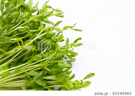Pea Sprouts on white background. 83589965