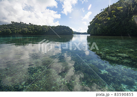 パラオ共和国 海と島々、世界遺産ロックアイランドの海上の風景 パラオ共和国 海と島々、世界遺産ロックアイランドの海上の風景 83590855