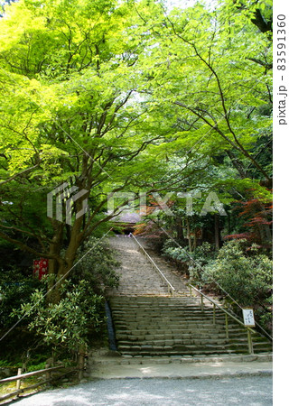 室生寺・鎧坂 83591360