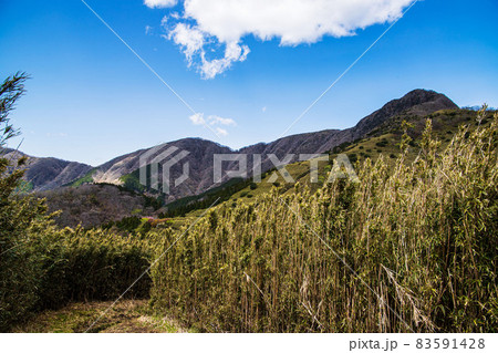 明神ヶ岳登山道の風景 83591428