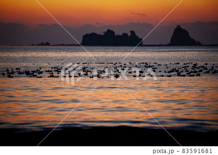 太平洋日向灘に昇る日出で黄昏色に染まった日南海岸の贄波浜と鳥帽子島に松島と黒島と間に着水する鴨群れ 太平洋日向灘に昇る日出で黄昏色に染まった日南海岸の贄波浜と鳥帽子島に松島と黒島と間に着水する鴨群れ 83591681