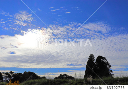 朝の空 青空 雲 草原 木 朝の空 青空 雲 草原 木 83592773