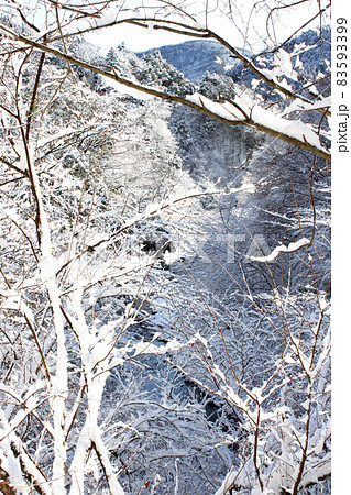 雪化粧をした丹沢の山と渓 83593399