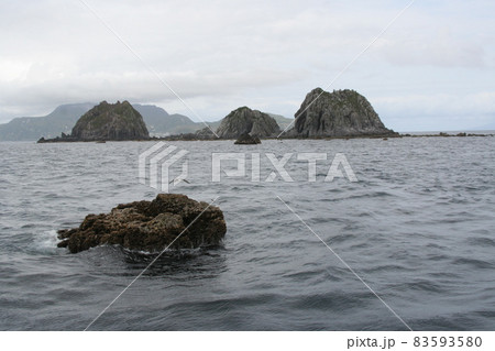 神津島「恩馳群島」曇り空の恩馳島 神津島「恩馳群島」曇り空の恩馳島 83593580