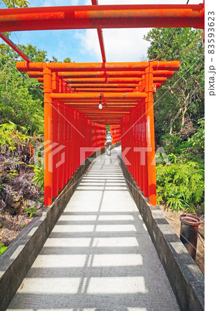 山口県下関市の福徳稲荷神社境内にある朱塗りの千本鳥居 山口県下関市の福徳稲荷神社境内にある朱塗りの千本鳥居 83593623