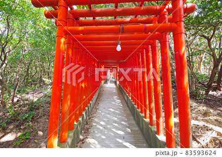 山口県下関市の福徳稲荷神社境内にある朱塗りの千本鳥居 山口県下関市の福徳稲荷神社境内にある朱塗りの千本鳥居 83593624