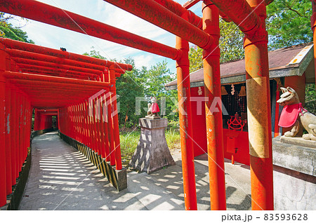山口県下関市の福徳稲荷神社にある朱塗りの千本鳥居 山口県下関市の福徳稲荷神社にある朱塗りの千本鳥居 83593628