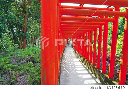 山口県下関市の福徳稲荷神社にある朱塗りの千本鳥居 山口県下関市の福徳稲荷神社にある朱塗りの千本鳥居 83593630