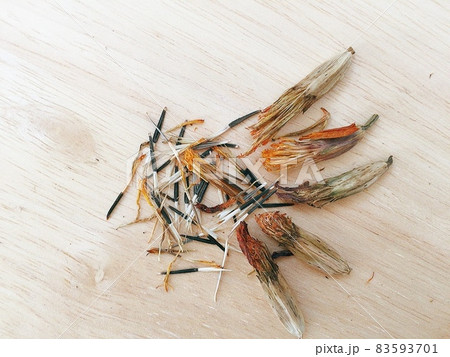 オーガニックな八重咲きマリーゴールドの種の写真素材
