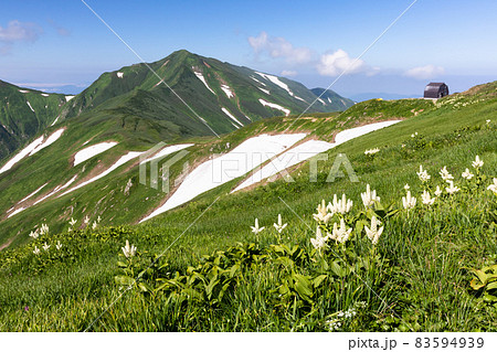 大日岳5 大日岳5 83594939
