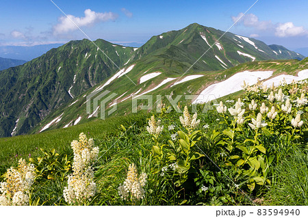 大日岳6 大日岳6 83594940