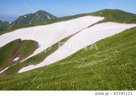 大日岳12 83595121