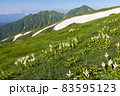 大日岳13 83595123