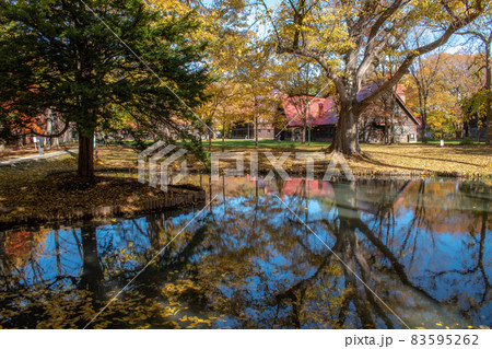 北海道大学の紅葉 83595262