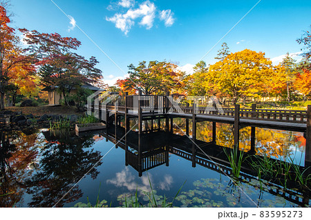 玉泉館跡地公園の紅葉 83595273