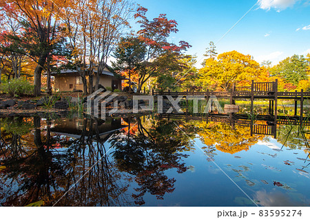 玉泉館跡地公園の紅葉 玉泉館跡地公園の紅葉 83595274