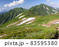 大日岳登山道 83595380