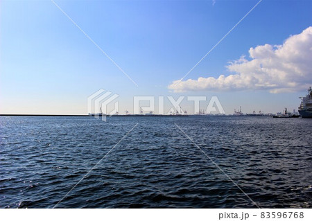 マリンパーク マリンパーク 83596768