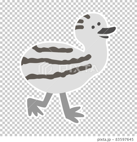 Emu (ostrich) baby 83597645
