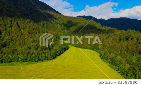 The amazing green nature of Allgau in Bavaria Germany The amazing green nature of Allgau in Bavaria Germany 83597980