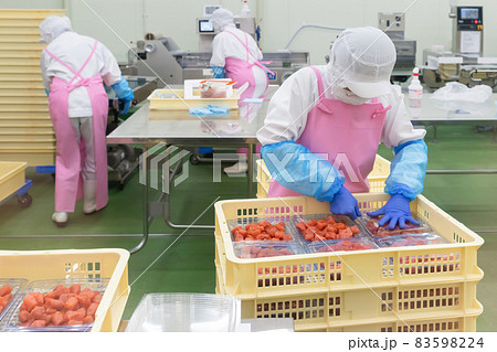 辛子明太子の食品加工工場 辛子明太子の食品加工工場 83598224