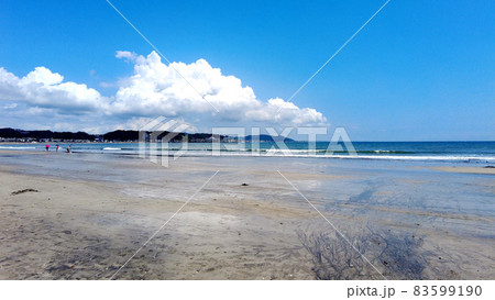 湘南海岸 83599190